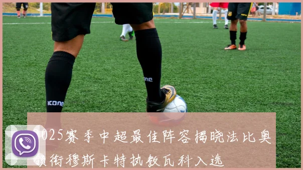 2025赛季中超最佳阵容揭晓法比奥领衔穆斯卡特执教瓦科入选