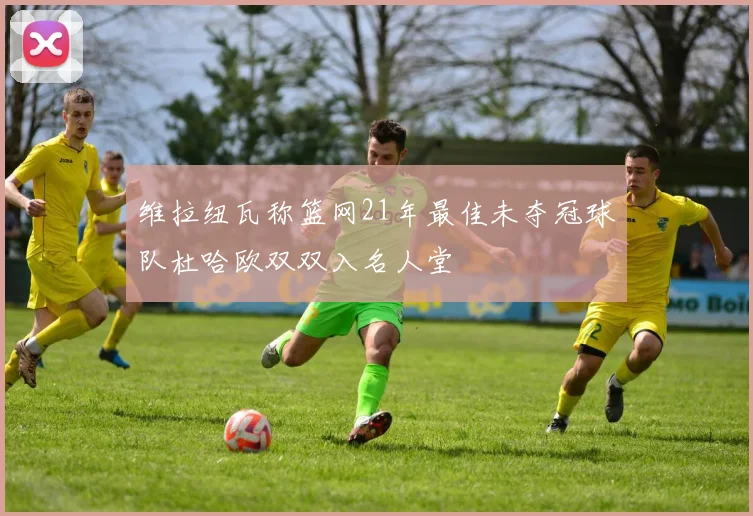维拉纽瓦称篮网21年最佳未夺冠球队杜哈欧双双入名人堂